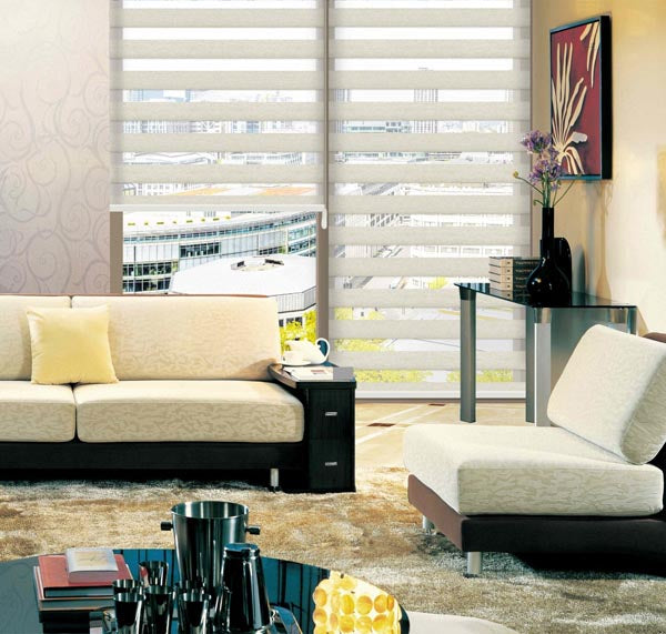 Zebra Blinds by NAAZ