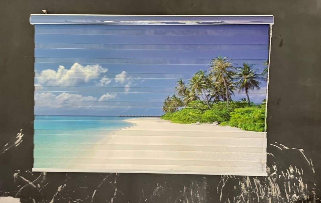 Customized Zebra Blinds