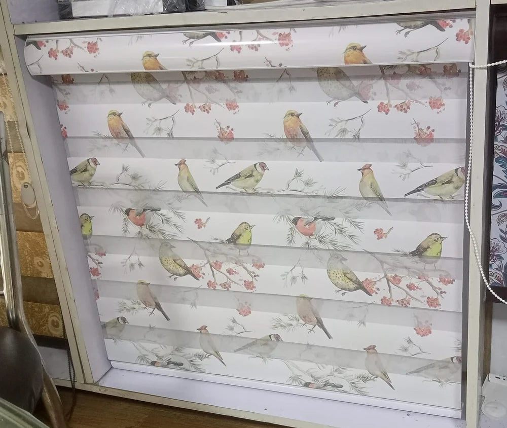 Customized Zebra Blinds